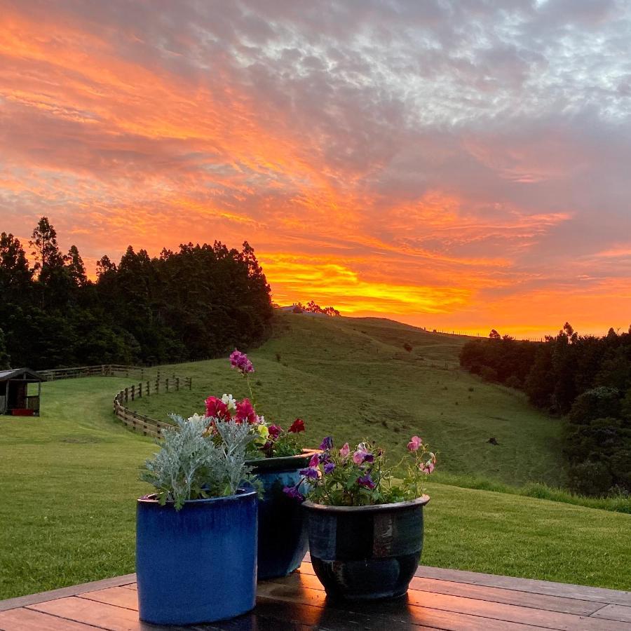 Kauri Glen Bnb Te Arai Экстерьер фото