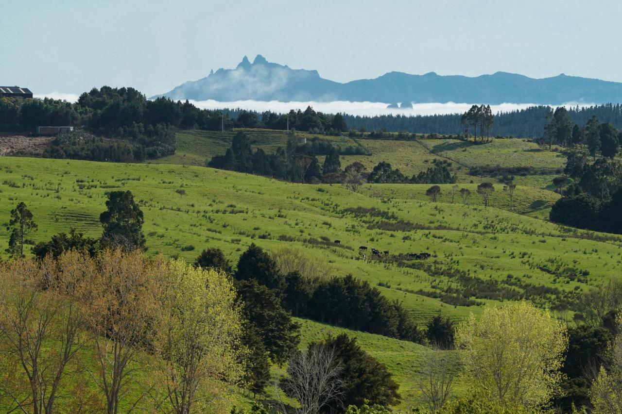 Kauri Glen Bnb Te Arai Экстерьер фото